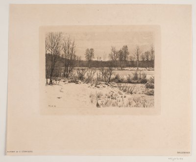 Bøllemosen by John Lübschitz