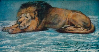 Pastel Study of a Lion, c1900 by John Macallan Swan