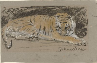 Tigress by John Macallan Swan