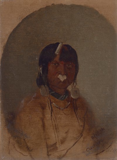 Bin-Tah, The Wounded Man by John Mix Stanley