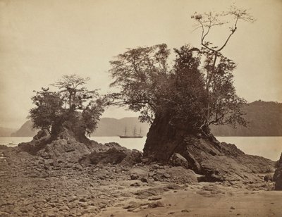 Islands in Limón Bay, 1871 by John Moran