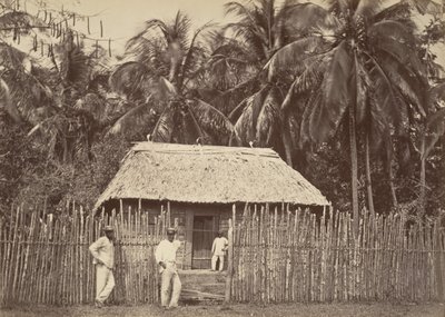 Tropical Scenery, Native Hut, Turbo, 1871 by John Moran