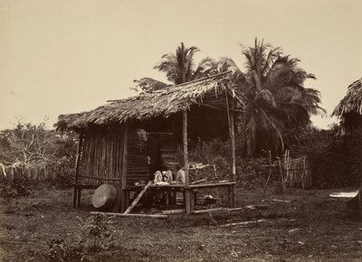Tropical Scenery, Native Hut, Turbo by John Moran