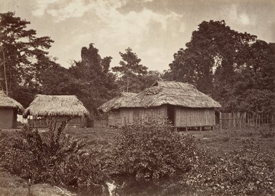 Tropical Scenery, Turbo Village, 1871 by John Moran