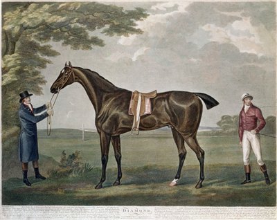 The Racehorse Diamond by John Nott Sartorius