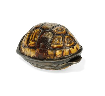 George III Terrapin Snuff Box by John Reily