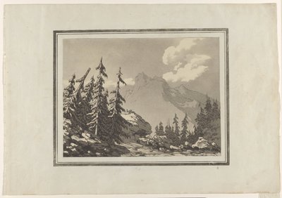 Fir by John Robert Cozens
