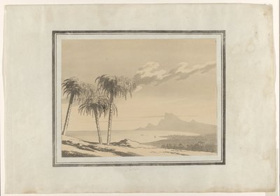 Palm by John Robert Cozens
