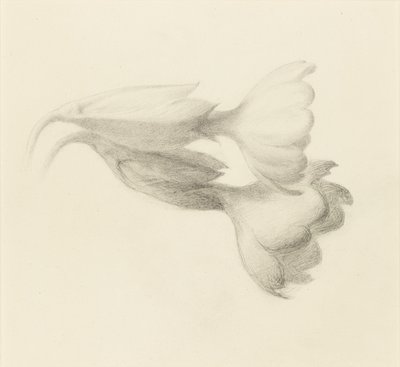 Cowslip Bells, probably 1871 by John Ruskin