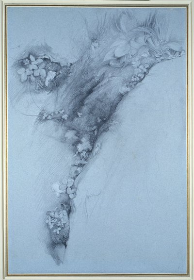 Moss and Wild Strawberry by John Ruskin