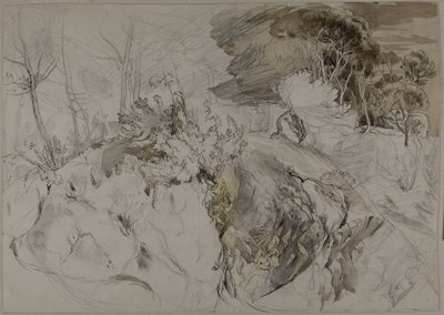 Shrubs and Trees in Rocky Landscape by John Ruskin
