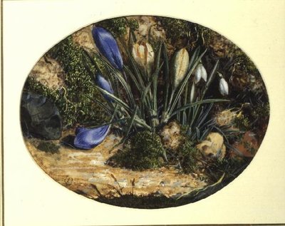 Crocuses and Snowdrops by John Sherrin