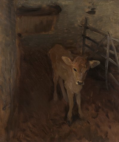 A Jersey Calf by John Singer Sargent