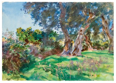 Olive Trees, Corfu by John Singer Sargent