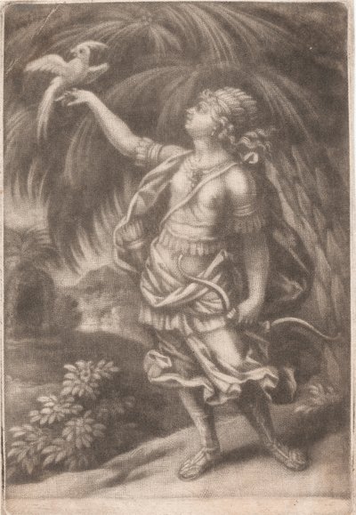 A Falconer by John Smith