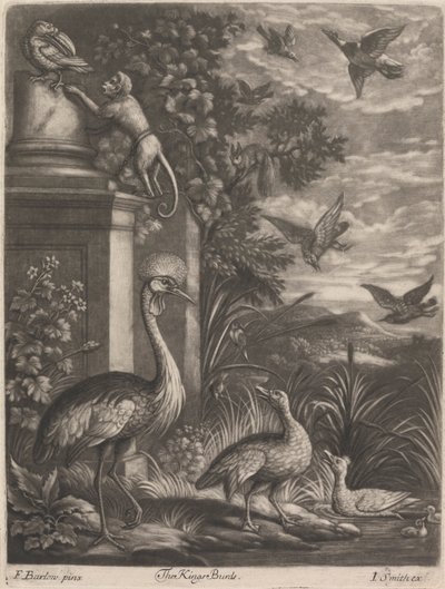 The Kings Birds by John Smith