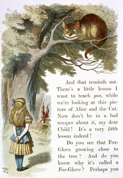 The Cheshire cat by John Tenniel