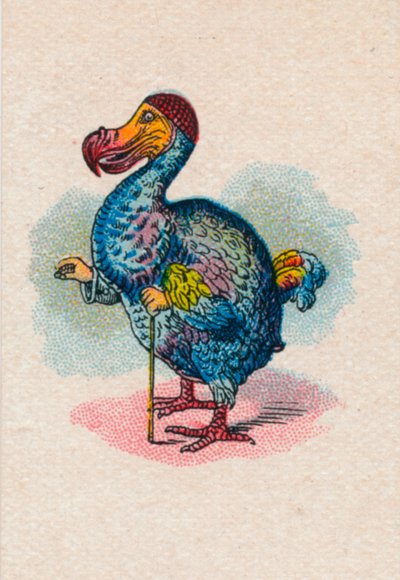 The Dodo by John Tenniel