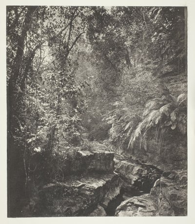 A Mountain Pass in Formosa by John Thomson