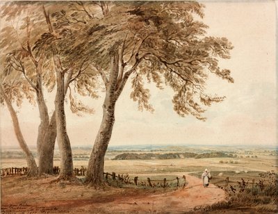 View from Polsden near Bookham in Surrey by John Varley