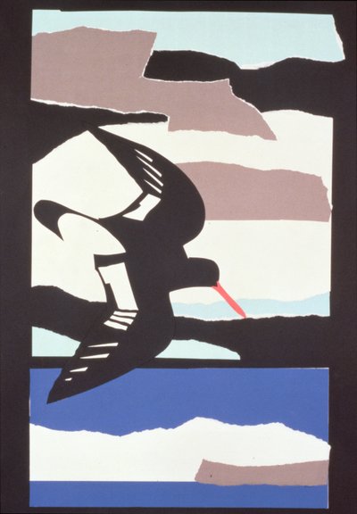 Oystercatcher by John Wallington