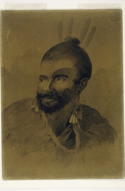 Portrait of a New Zealander by John Webber
