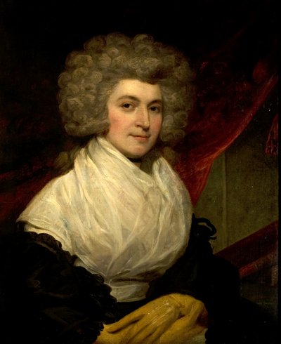 Portrait of a Lady by John Westbrooke Chandler
