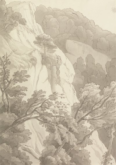 Canonteign by John White Abbott