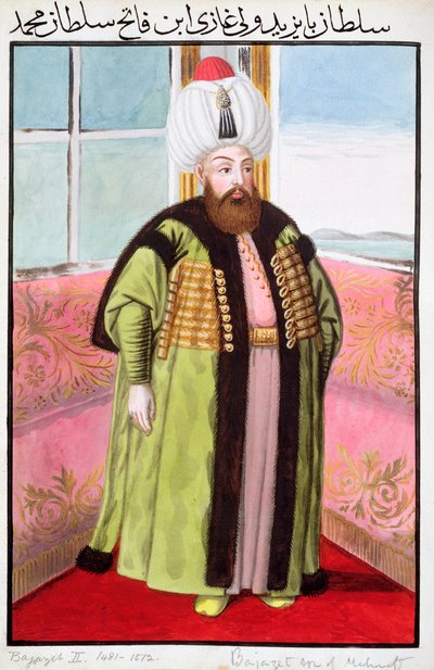 Bayezid II, Ottoman Emperor by John Young