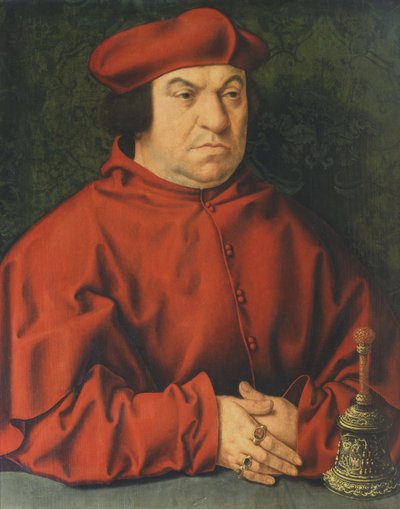 Portrait of Bernardo Clesio by Joos van Cleve