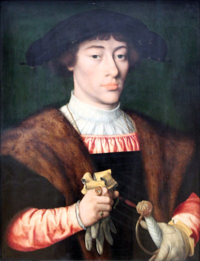 Portrait of a Young Man by Joos van Cleve