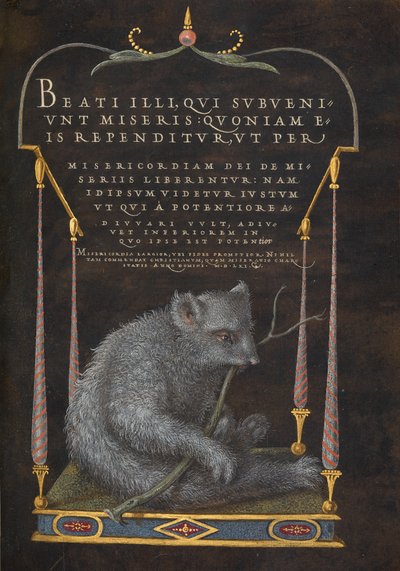 A Sloth by Joris Hoefnagel