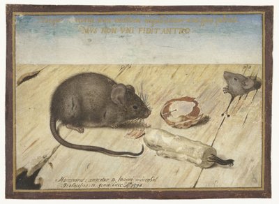 Two Mice by Joris Hoefnagel