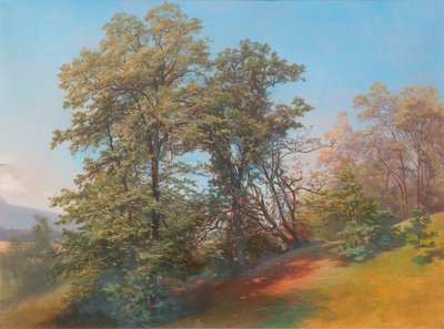 Group of Trees on the Mönchsberg in Salzburg by Josef Holzer