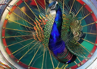 Peacock 3 by Josef Johann Michel