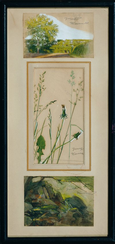 Studies from Nature by Josef Wawra