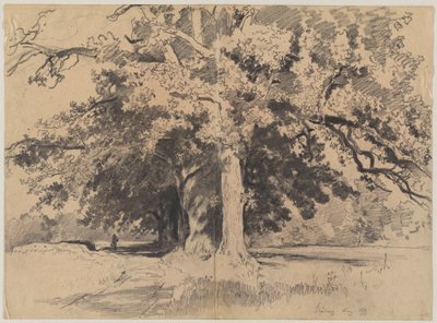 Tall Trees near Böding by Josef Wenglein