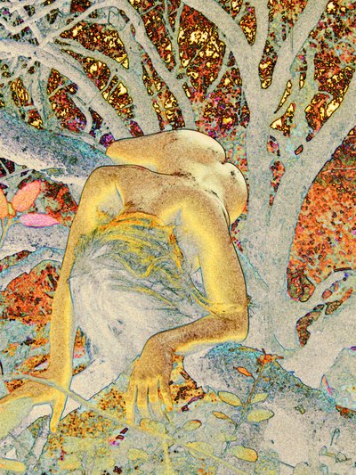 Tree by Joseph Angilella Auquier