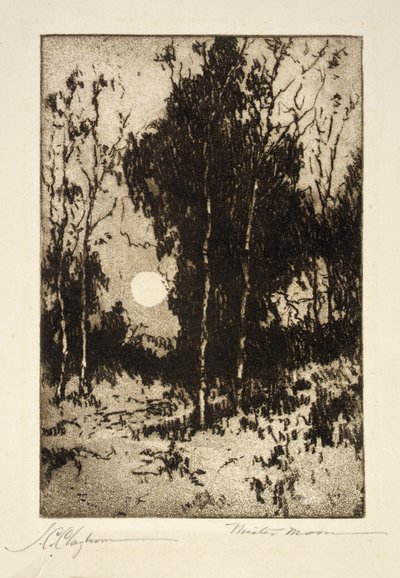 Mister Moon by Joseph C. Claghorn