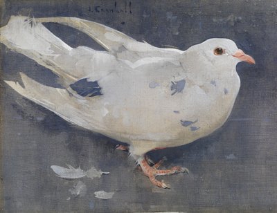 The Pigeon by Joseph Crawhall