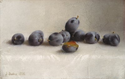 Twelve Plums by Joseph Decker