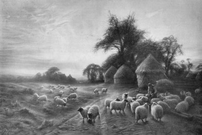 Sheep Feeding by Joseph Farquharson