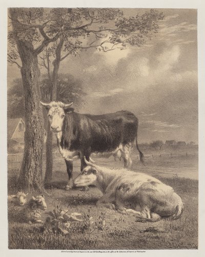 Cattle Ruminating by Joseph Foxcroft Cole