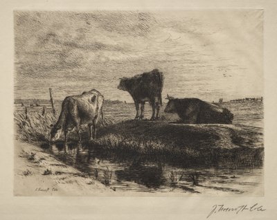 The Three Cows by Joseph Foxcroft Cole