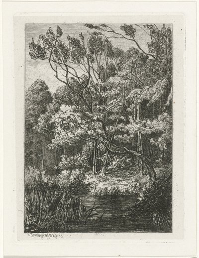 Forest View by Joseph Hartogensis