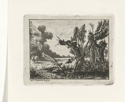 Pollard Willows by Joseph Hartogensis