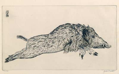 Wild Boar (Le Sanglier) by Joseph Hecht