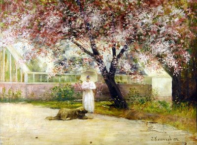 Blossom by Joseph Malachy Kavanagh