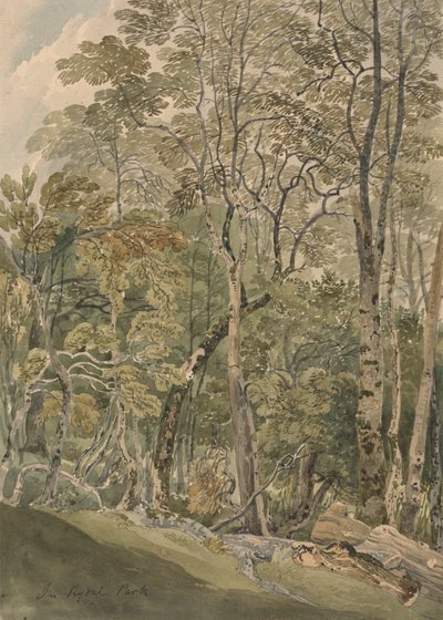 In Rydal Park by Joseph Powell