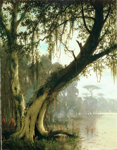 In the Bayou by Joseph Rusling Meeker